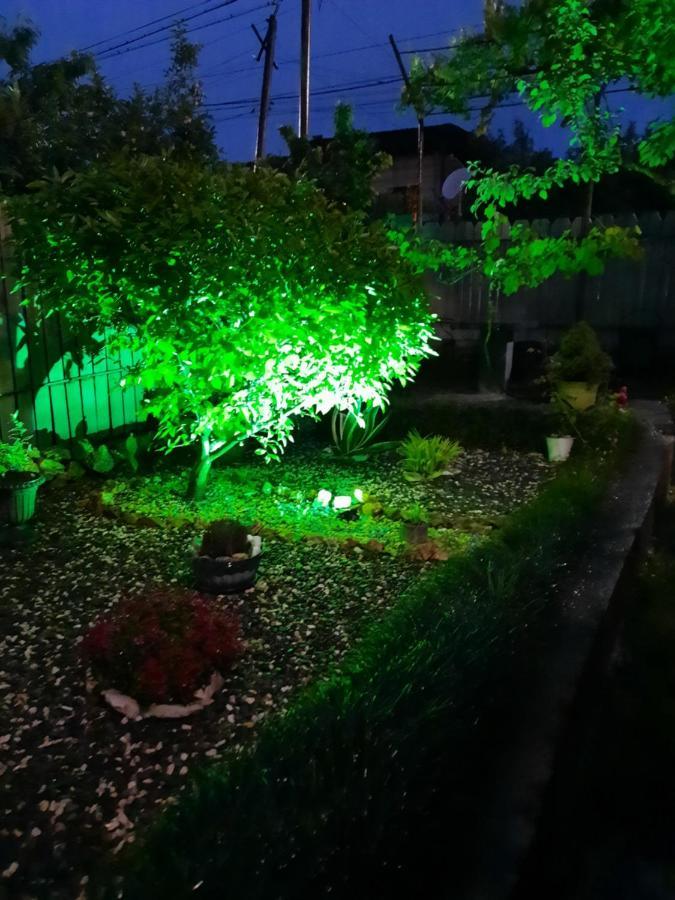 Sisi Guest House Кутаиси Екстериор снимка